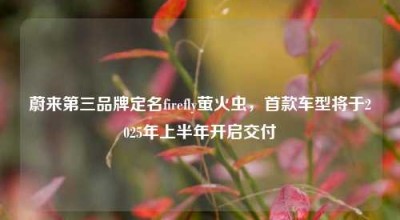 蔚来第三品牌定名firefly萤火虫，首款车型将于2025年上半年开启交付