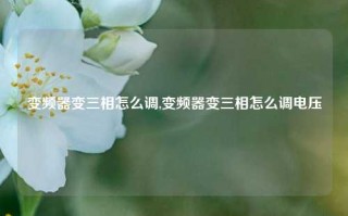 变频器变三相怎么调,变频器变三相怎么调电压