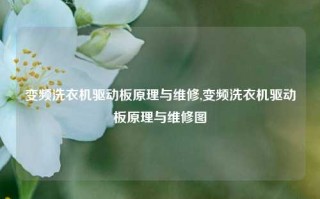 变频洗衣机驱动板原理与维修,变频洗衣机驱动板原理与维修图