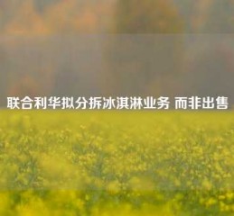 联合利华拟分拆冰淇淋业务 而非出售