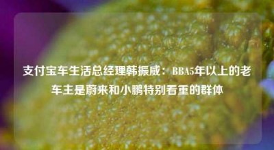 支付宝车生活总经理韩振威：BBA5年以上的老车主是蔚来和小鹏特别看重的群体