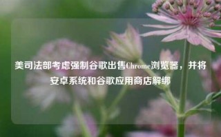 美司法部考虑强制谷歌出售Chrome浏览器，并将安卓系统和谷歌应用商店解绑