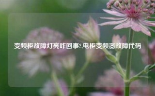 变频柜故障灯亮咋回事?,电柜变频器故障代码