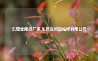 东莞变频器厂家,东莞变频器维修有限公司