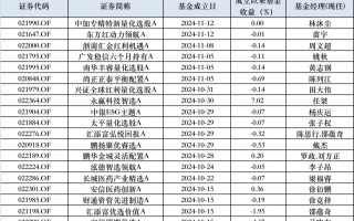 10月以来权益新发回暖，次新基金建仓时点有技巧，业绩分化明显