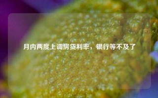 月内两度上调房贷利率，银行等不及了