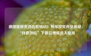 德国提前竞选齿轮转动！朔尔茨党内受质疑，“拜登效应”下新总理候选人显现