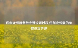 伟创变频器参数完整设置过程,伟创变频器的参数设定步骤