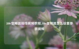 380v变频器接线视频教程,380v变频器怎么设置参数视频