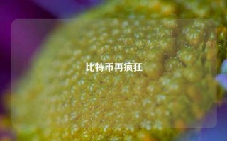 比特币再疯狂