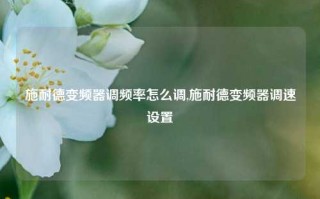 施耐德变频器调频率怎么调,施耐德变频器调速设置