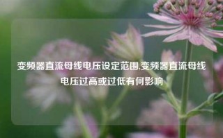 变频器直流母线电压设定范围,变频器直流母线电压过高或过低有何影响