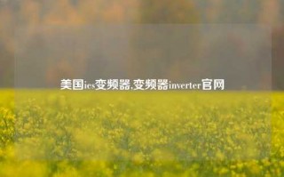 美国ies变频器,变频器inverter官网