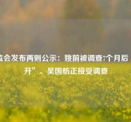 证监会发布两则公示：姚前被调查7个月后“双开”、吴国舫正接受调查