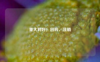 重大利好！回购，注销