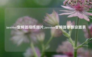 inverter变频器接线图片,inverter变频器参数设置表