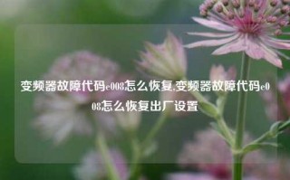 变频器故障代码e008怎么恢复,变频器故障代码e008怎么恢复出厂设置