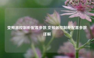 变频器控制柜配置参数,变频器控制柜配置参数详解