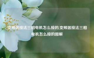 变频器接法三相电机怎么接的,变频器接法三相电机怎么接的图解