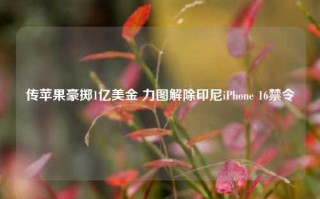 传苹果豪掷1亿美金 力图解除印尼iPhone 16禁令