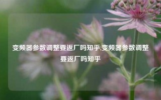 变频器参数调整要返厂吗知乎,变频器参数调整要返厂吗知乎