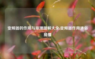 变频器的作用与原理图解大全,变频器作用通俗易懂