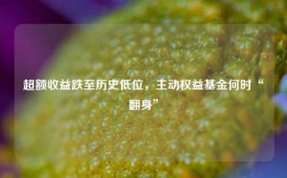 超额收益跌至历史低位，主动权益基金何时“翻身”