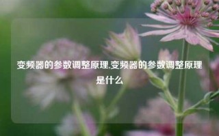 变频器的参数调整原理,变频器的参数调整原理是什么