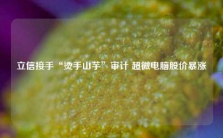 立信接手“烫手山芋”审计 超微电脑股价暴涨