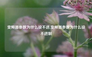 变频器参数为什么设不进,变频器参数为什么设不进制