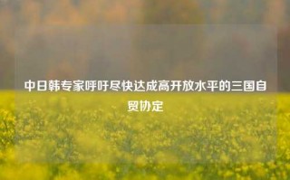 中日韩专家呼吁尽快达成高开放水平的三国自贸协定