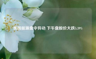 美国能源盘中异动 下午盘股价大跌5.39%