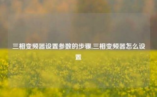 三相变频器设置参数的步骤,三相变频器怎么设置