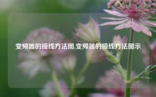 变频器的接线方法图,变频器的接线方法图示