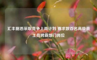 汇丰据悉采取竞争上岗计划 要求数百名高级员工竞聘新部门岗位