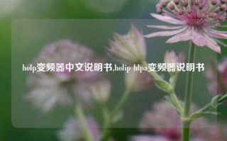 holp变频器中文说明书,holip hlpa变频器说明书