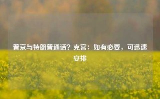 普京与特朗普通话？克宫：如有必要，可迅速安排