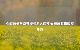 变频器参数调整视频怎么调整,变频器怎样调整参数