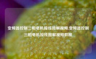 变频器控制三相电机接线图解视频,变频器控制三相电机接线图解视频教程