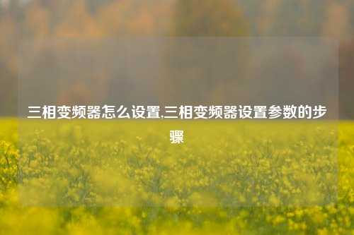 三相变频器怎么设置,三相变频器设置参数的步骤-第1张图片-丹佛斯变频器_安川变频器_台达变频器_汇川变频器-变频器之家