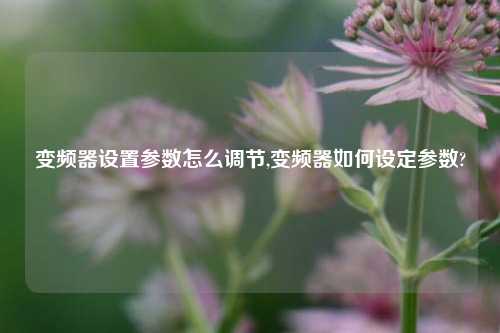 变频器设置参数怎么调节,变频器如何设定参数?-第1张图片-丹佛斯变频器_安川变频器_台达变频器_汇川变频器-变频器之家