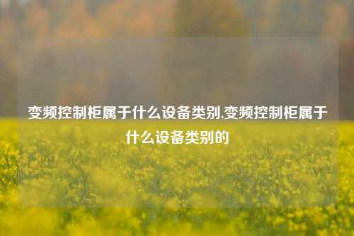 变频控制柜属于什么设备类别,变频控制柜属于什么设备类别的-第1张图片-丹佛斯变频器_安川变频器_台达变频器_汇川变频器-变频器之家