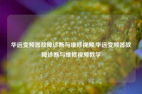 华远变频器故障诊断与维修视频,华远变频器故障诊断与维修视频教学-第1张图片-丹佛斯变频器_安川变频器_台达变频器_汇川变频器-变频器之家