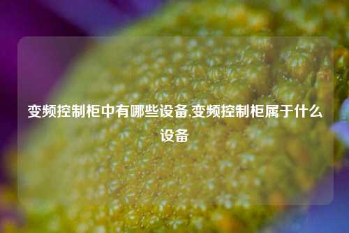 变频控制柜中有哪些设备,变频控制柜属于什么设备-第1张图片-丹佛斯变频器_安川变频器_台达变频器_汇川变频器-变频器之家