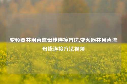 变频器共用直流母线连接方法,变频器共用直流母线连接方法视频-第1张图片-丹佛斯变频器_安川变频器_台达变频器_汇川变频器-变频器之家