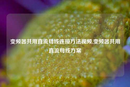 变频器共用直流母线连接方法视频,变频器共用直流母线方案-第1张图片-丹佛斯变频器_安川变频器_台达变频器_汇川变频器-变频器之家