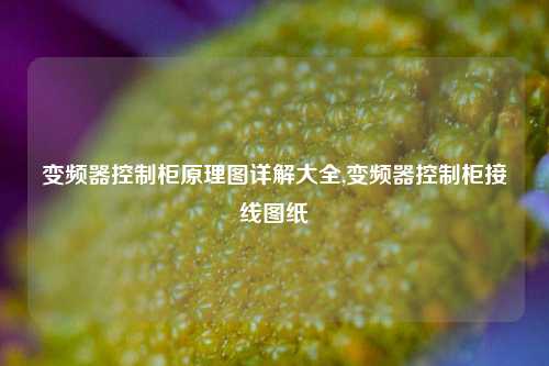 变频器控制柜原理图详解大全,变频器控制柜接线图纸-第1张图片-丹佛斯变频器_安川变频器_台达变频器_汇川变频器-变频器之家