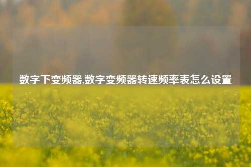 数字下变频器,数字变频器转速频率表怎么设置-第1张图片-丹佛斯变频器_安川变频器_台达变频器_汇川变频器-变频器之家