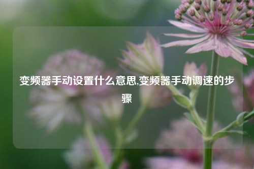 变频器手动设置什么意思,变频器手动调速的步骤-第1张图片-丹佛斯变频器_安川变频器_台达变频器_汇川变频器-变频器之家