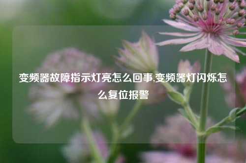 变频器故障指示灯亮怎么回事,变频器灯闪烁怎么复位报警-第1张图片-丹佛斯变频器_安川变频器_台达变频器_汇川变频器-变频器之家